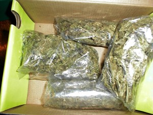 Marijuana Trafficking Defense in Massaschusetts