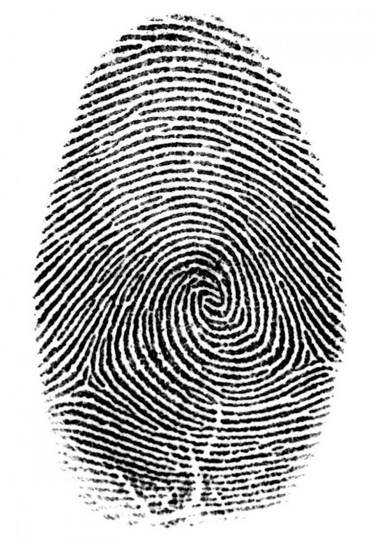 Fingerprint Evidence Alone Not Necessarily Enough For a Criminal